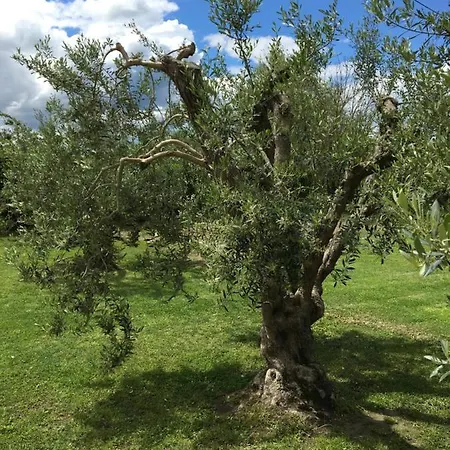 Podere Gabry *